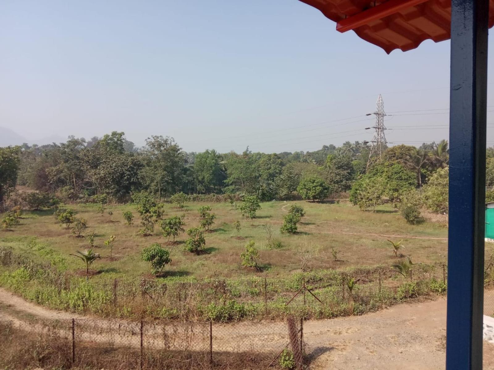 Asmi Palace, Bhaimala, Alibag Villa Eksteriør billede